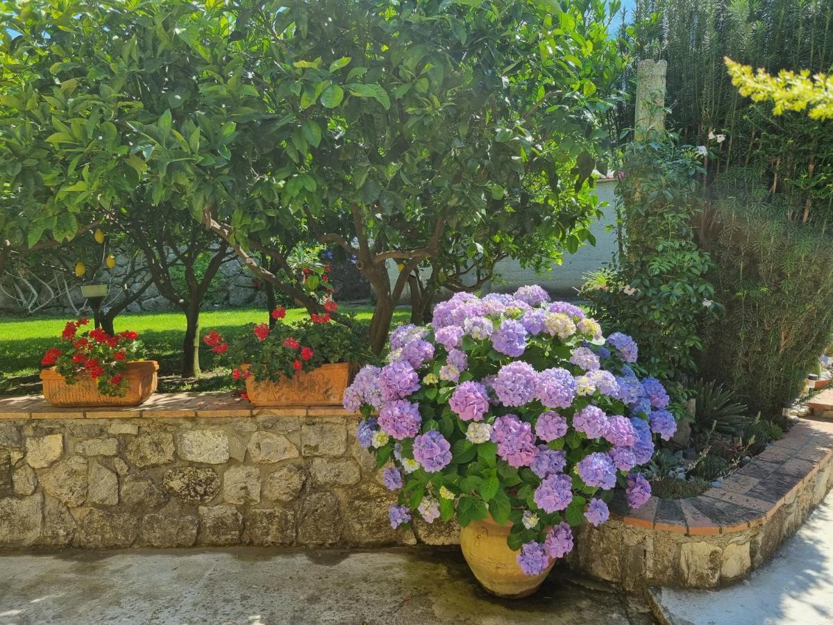 Il Ruscello Bed and Breakfast Maratea Εξωτερικό φωτογραφία