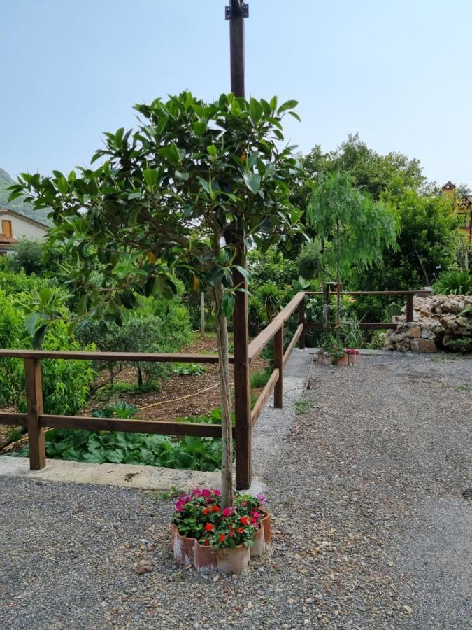 Il Ruscello Bed and Breakfast Maratea Εξωτερικό φωτογραφία