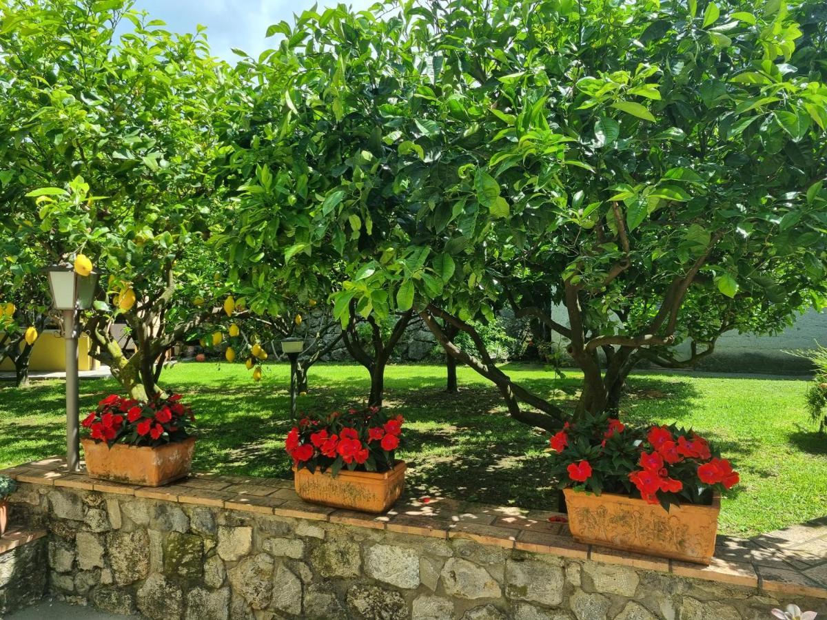 Il Ruscello Bed and Breakfast Maratea Εξωτερικό φωτογραφία