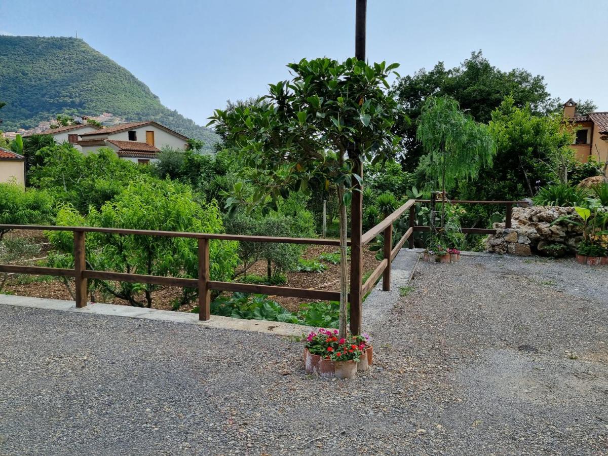 Il Ruscello Bed and Breakfast Maratea Εξωτερικό φωτογραφία