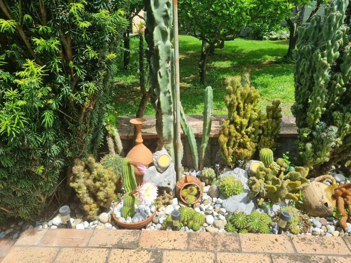 Il Ruscello Bed and Breakfast Maratea Εξωτερικό φωτογραφία