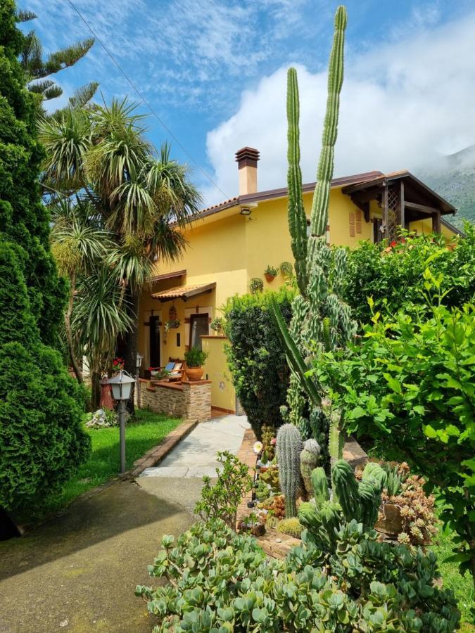 Il Ruscello Bed and Breakfast Maratea Εξωτερικό φωτογραφία