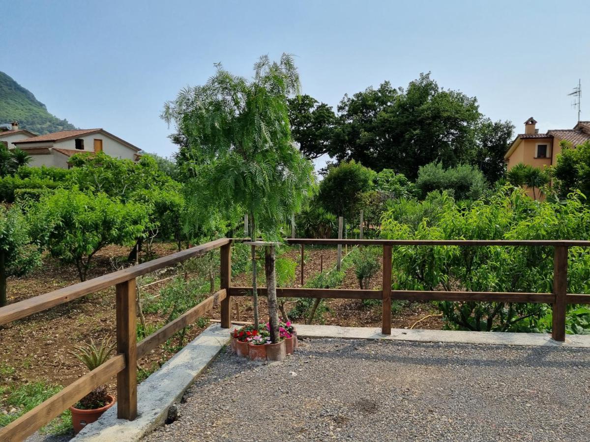 Il Ruscello Bed and Breakfast Maratea Εξωτερικό φωτογραφία
