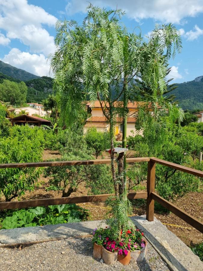 Il Ruscello Bed and Breakfast Maratea Εξωτερικό φωτογραφία